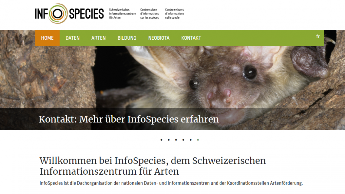Im Verein InfoSpecies...