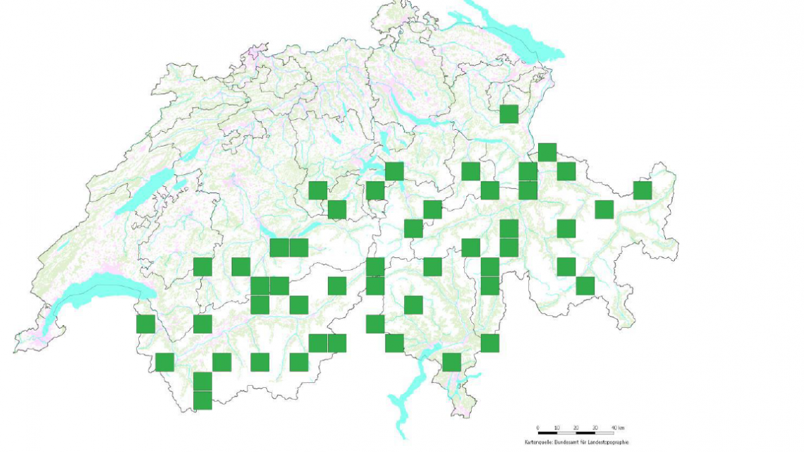 Zur Erforschung der Fledermäuse in den Alpen wurden an jeweils 3-5 Standorten pro grünem Quadrat Aufnahmegeräte installiert.