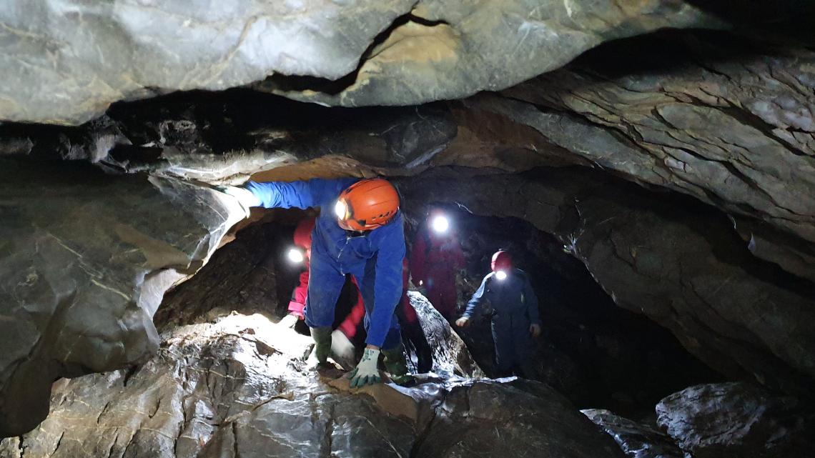 Bedrohung: Störungen durch Höhlentourismus während des Winterschlafs