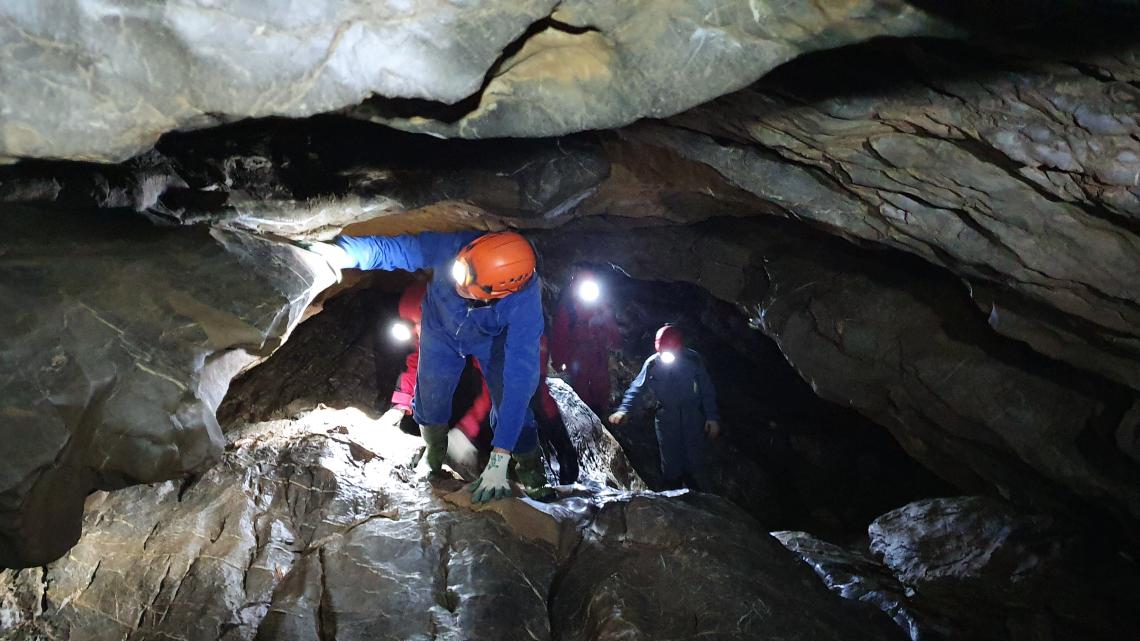 Bedrohung: Störungen durch Höhlentourismus während des Winterschlafs